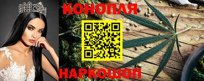 прущие грибы Рязань