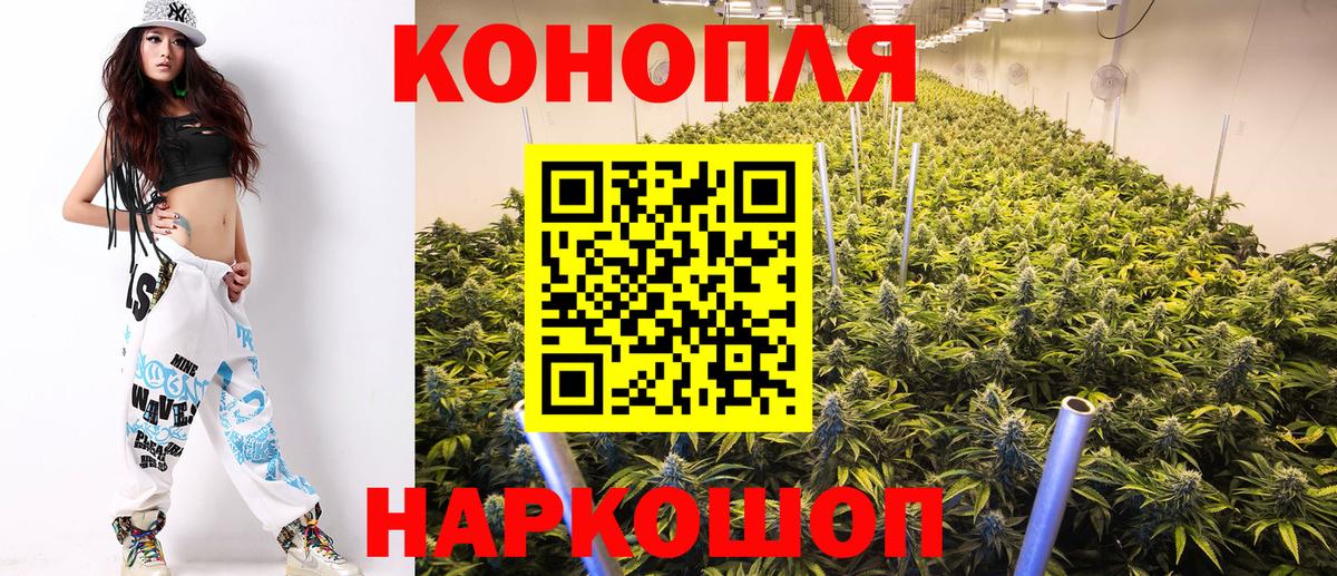 Бошки марихуана планчик  Каннабис планчик  Шишки марихуана THC 21%  Гусев  Канабис ГИДРОПОН  Вход с VPN 